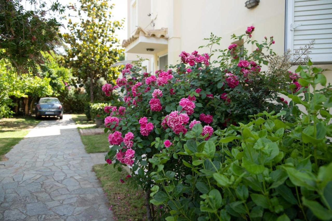 Palaiohora Avias Apartments מראה חיצוני תמונה
