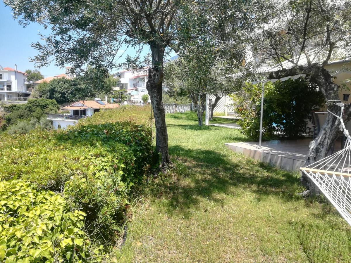 Palaiohora Avias Apartments מראה חיצוני תמונה